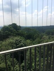 Eco Sanctuary (D23), Condominium #388131871